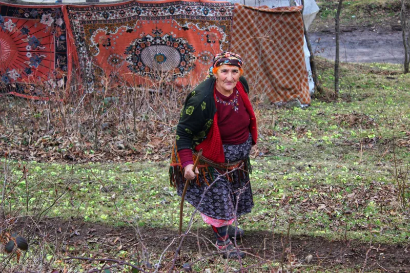 She Picked Up a Paintbrush at 78 and Accidentally Became Famous