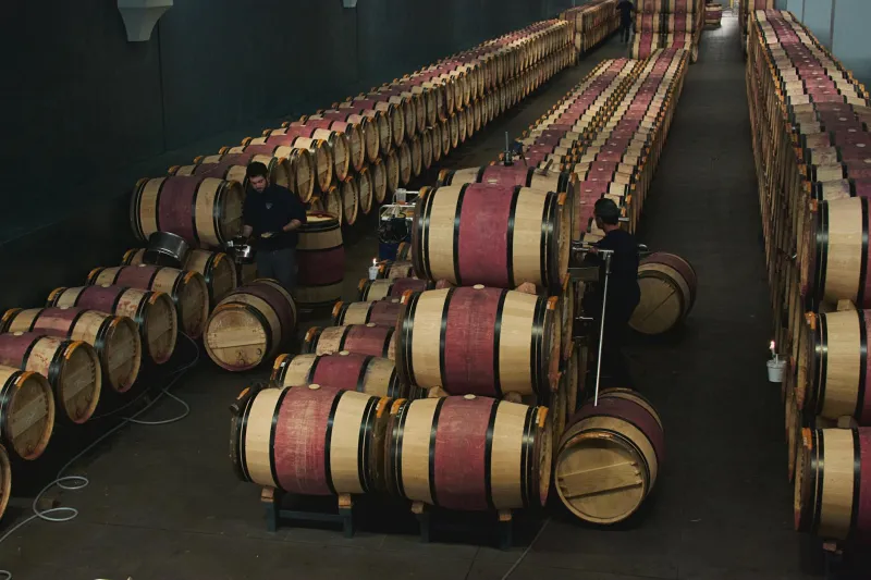 The Hungarian Failure Who Accidentally Built Napa Valley