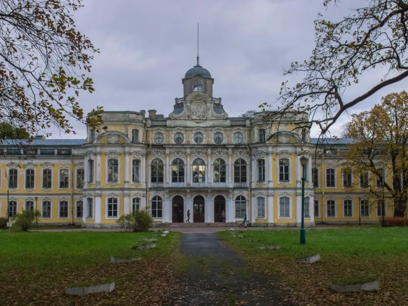 The Schoolteacher Who Accidentally Revolutionized American Medicine